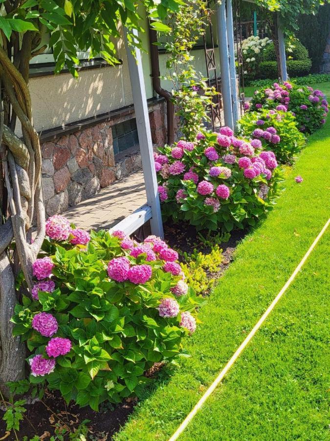 Vila Florena Garden Palanga Buitenkant foto